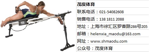 自由泳训练比赛（501X177）.jpg