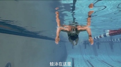 蛙泳手臂垂直位置